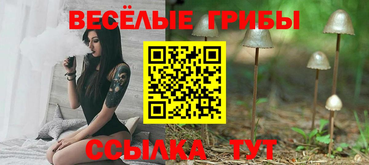 Псилоцибиновые грибы мухоморы  Галлюциногенные грибы мицелий  Ногинск  Вход с VPN 