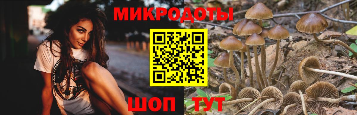 Псилоцибиновые грибы Magic Shrooms Ногинск